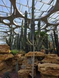 Shanghai Greenhouse Garden – всё, что нужно знать