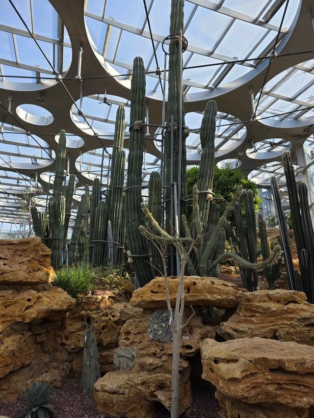 Shanghai Greenhouse Garden – всё, что нужно знать Shanghai Greenhouse Garden – всё, что нужно знать