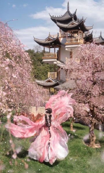 매호 고풍 촬영 성지