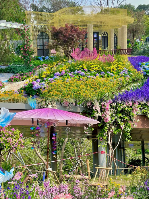 Complete Guide to the 2026 Bijia Mountain Flower Exhibition! Free