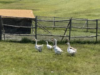 Embark on a mountain and water rendezvous, stay at Lintao Shell Hotel for a pleasant journey