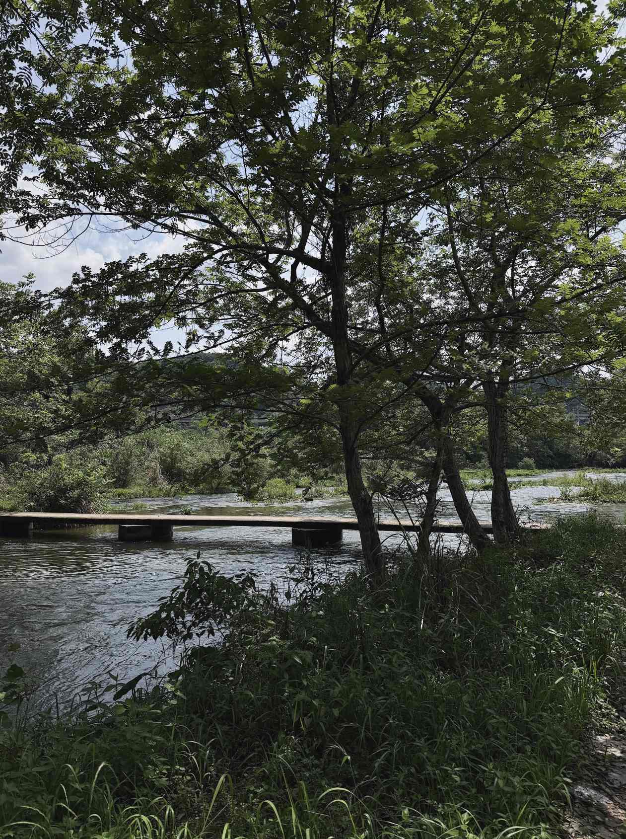 景徳鎮48時間リラックスガイド 文芸青年必見スポット | Trip.com 景徳鎮