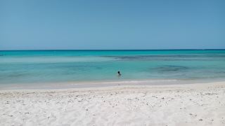 息を呑むほど美しいビーチですが、海藻にはご用心。