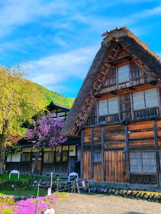 Summer trips to Japan are truly irresistible