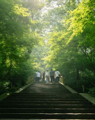 Hiking and exploring the ancient pagoda at Haining Dongshan Park, and strolling through the old streets.