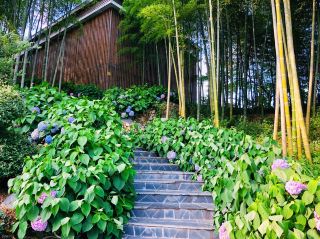     Xingxiang Zhuyuan has everything: bamboo forests, tea gardens, and lakes, with highly private detached courtyards.