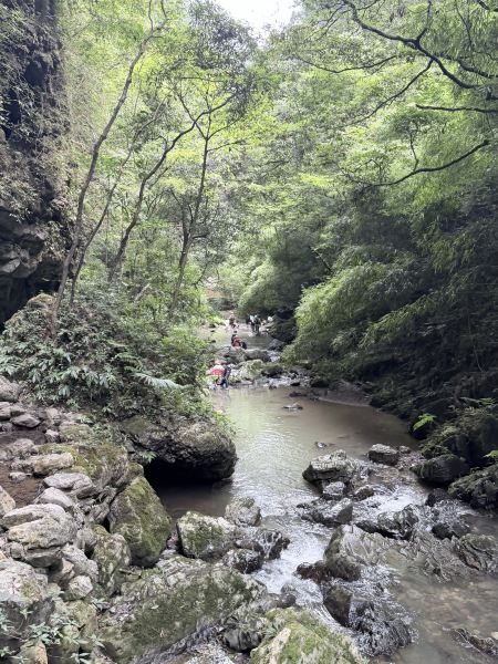 23℃の渓谷で避暑と水遊び、最高レベルのスポット | Trip.com 重慶