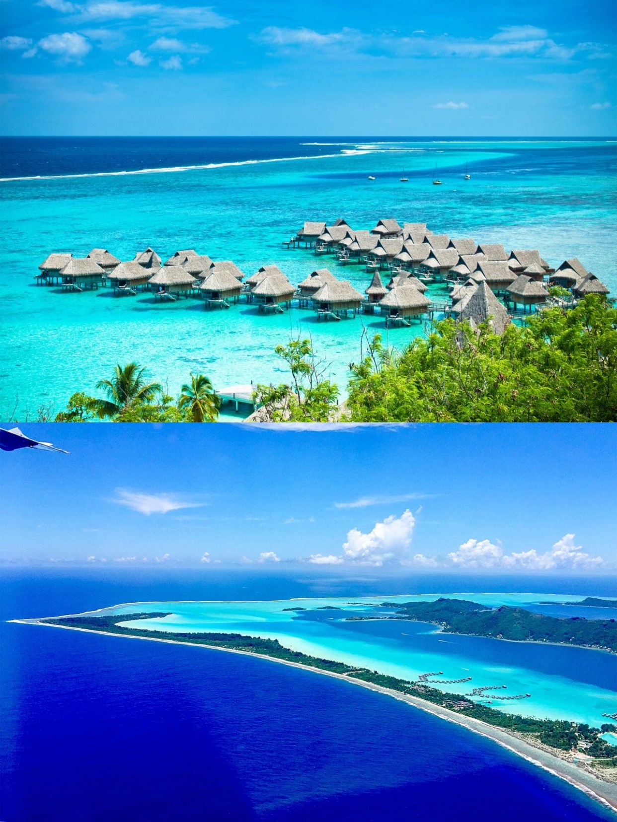Chỉ từ 3.600 đô la trở lên, du thuyền Norwegian Spirit sẽ đưa bạn khám phá vùng biển Tahiti thơ mộng.