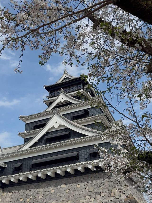 6日日本遊保姆級攻略建議收藏