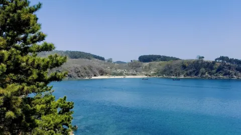 샤오수이커우 삼림공원 | 유리처럼 투명한 바다의 비밀 세계로 떠나는 모험: 다롄 버전의 몰디브 여행 가이드 — traveler post in 창하이