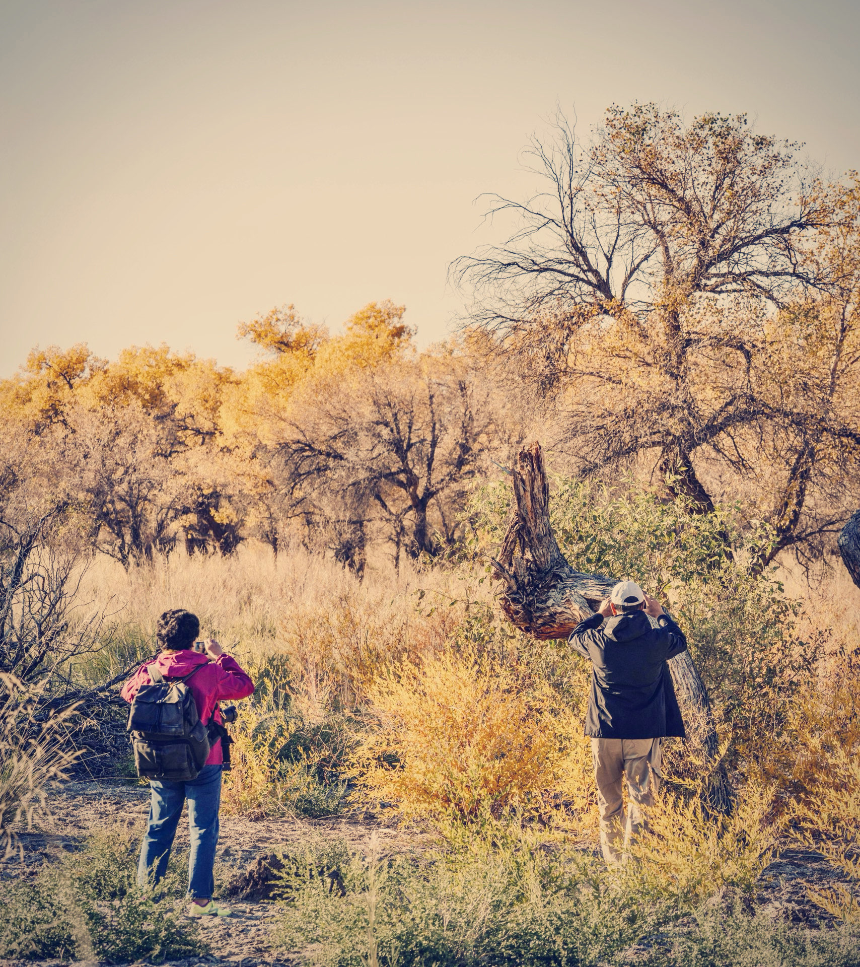 A comprehensive list of lesser-known desert destinations in China, helping you avoid the crowds.