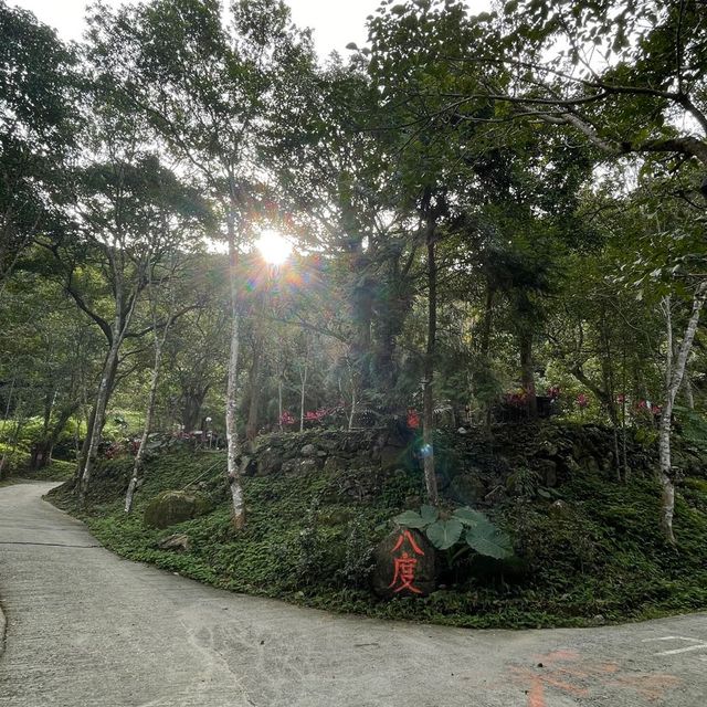 （桃園/復興）免搭帳⛺️的野溪露營-八度野溪露營區