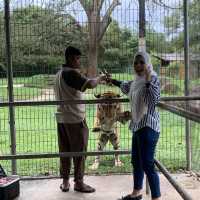 safari zoo melaka is the best place