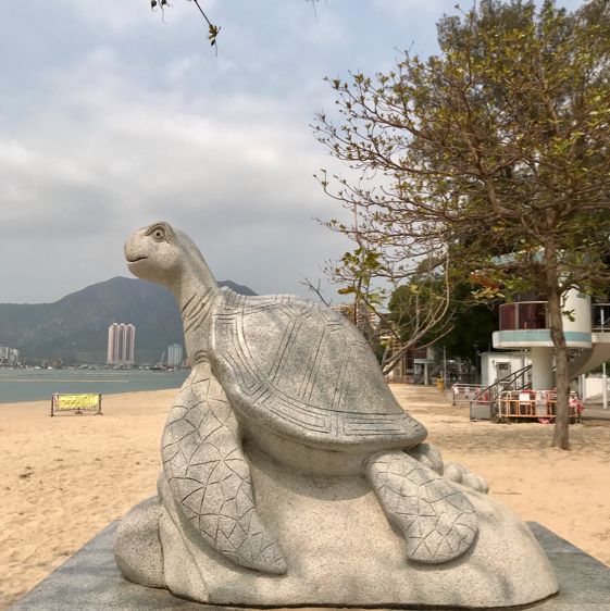 Educational/Storey Telling at Cafeteria Beach