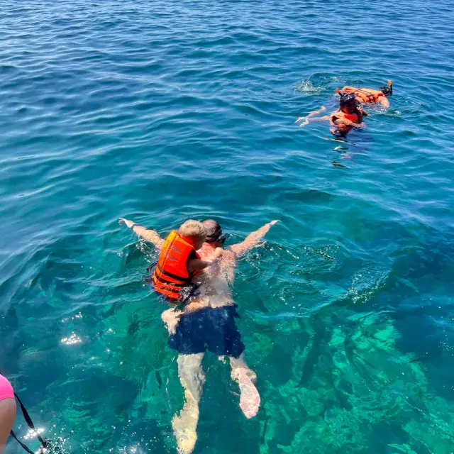 必玩布吉浮潛🤿😍