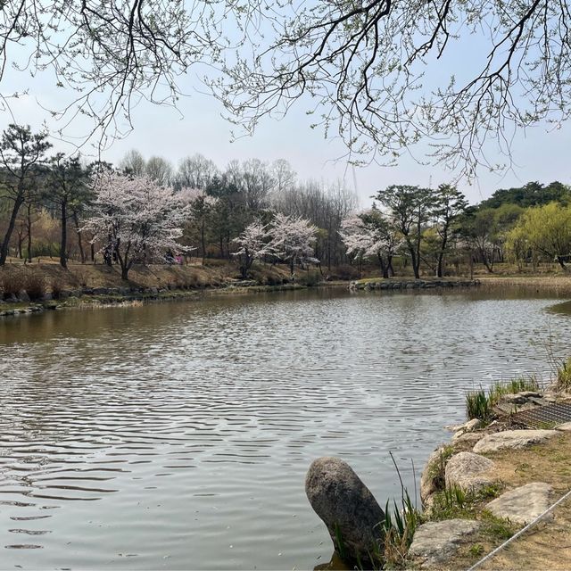 봄꽃 가득한 물향기 수목원🌿