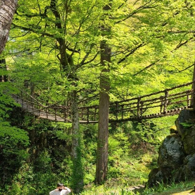 【福井】かずら橋