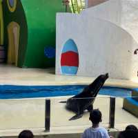 珠海長隆海洋王國之海洋動物
