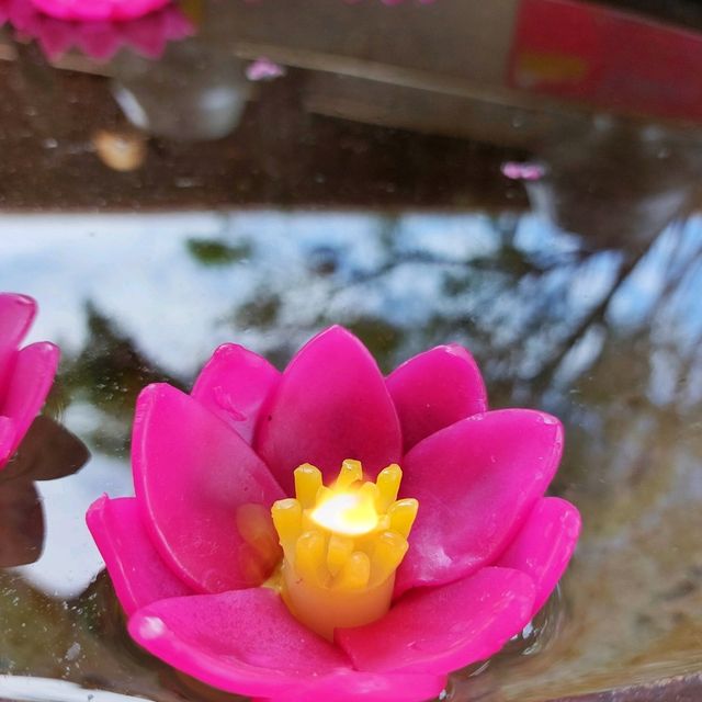 พุทธอุทยานมหาราช หลวงปู่ทวดองค์ใหญ่