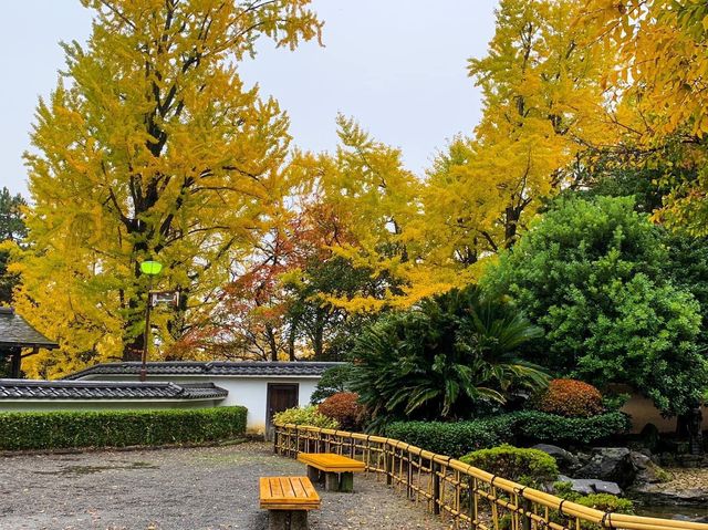 ปราสาทโอคะซะกิ (Okazaki Castle)🏯