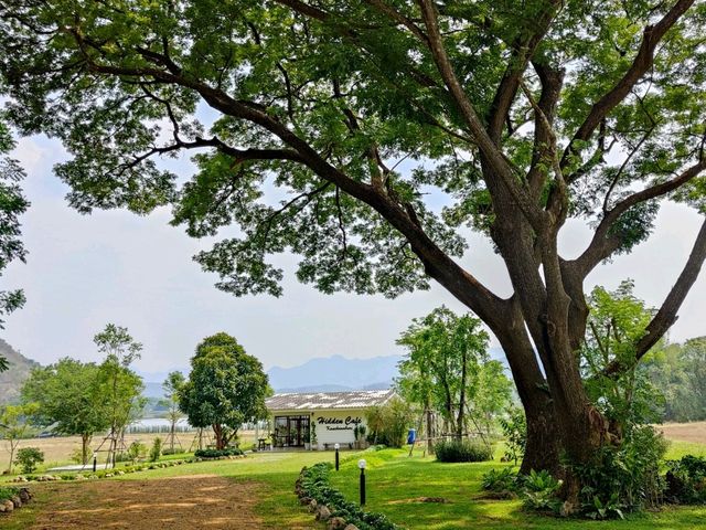 คาเฟ่เปิดใหม่ สายธรรมชาติต้องแวะมา น้องหมาเข้าได้