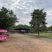 จิม ทอมป์สัน ฟาร์ม - Jim Thompson Farm