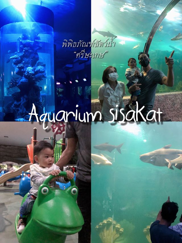 พิพิธภัณฑ์สัตว์น้ำ@ศรีษะเกษ