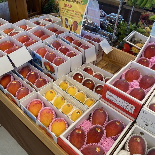 沖縄今帰仁「古宇利島の駅ソラハシ」新鮮な沖縄県産フルーツやカフェ、フードコート、土産が揃うおすすめ南国の道の駅