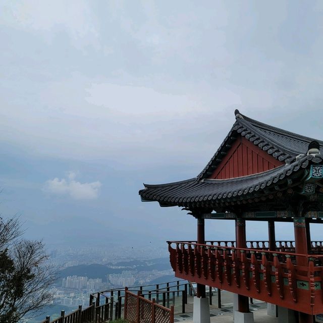 두근두근여름휴가 대전 식장산 해돋이전망대