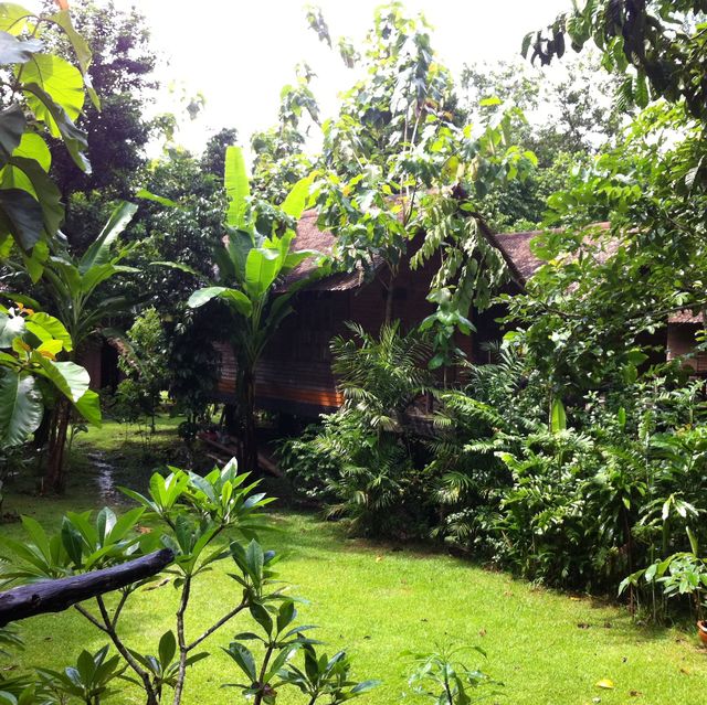 Khao Sok National park 自然生態遊記