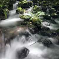 Trekking thru Oirase Stream to Lake Towada