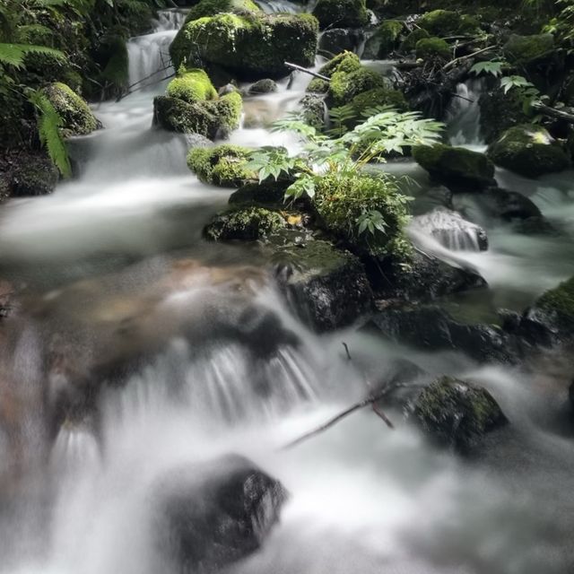 Trekking thru Oirase Stream to Lake Towada