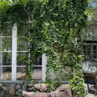 The creeper house 🪵🪹🌿