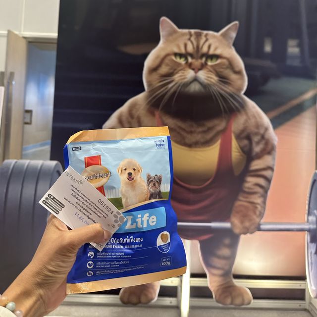 คนรักสัตว์ห้ามพลาดงาน pet expo 2023 🐕