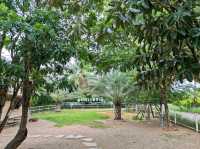 Café and Farm วิวดี ติดธรรมชาติ 