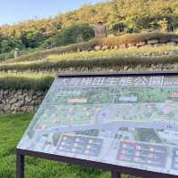 大有梯田生態公園 🌳🌸 自然奇蹟 