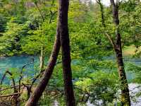 Goshiki-numa pond 🇯🇵💦🦋