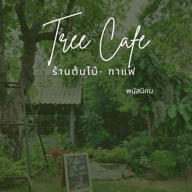 ร้านต้นไม้- กาแฟ