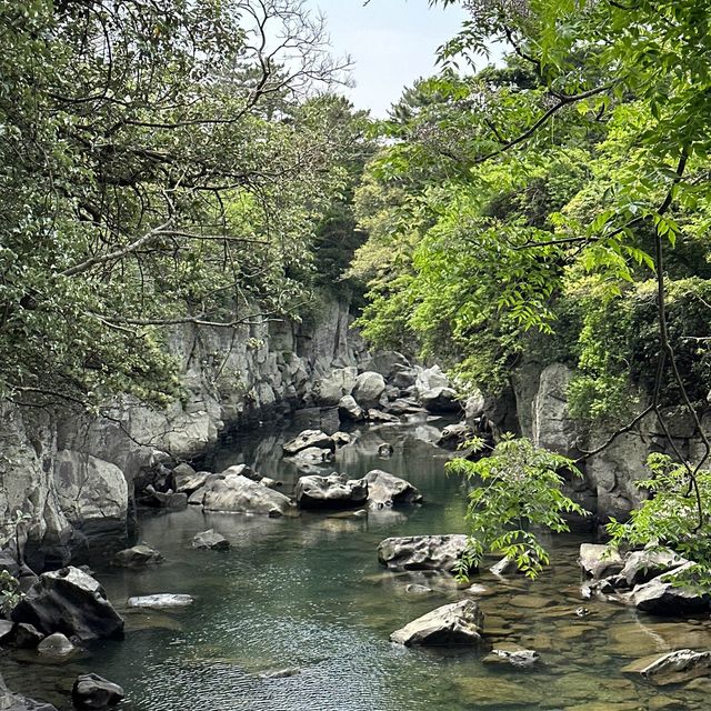 자연이 만든 신비 🌿 제주 용연계곡