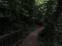 陽明山二子坪步道，非常簡單容易完成，適合親子來散步觀賞生態