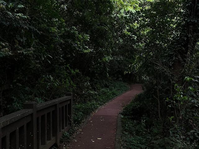 陽明山二子坪步道，非常簡單容易完成，適合親子來散步觀賞生態
