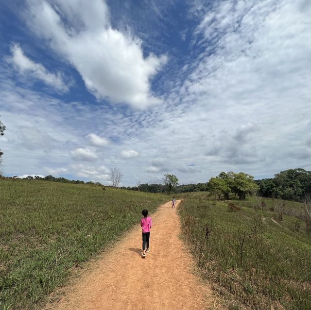 เที่ยวเขาใหญ่ ขึ้นหอดูสัตว์ และเดินศึกษาธรรมชาติ