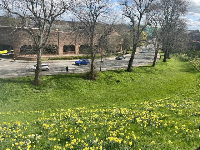 York City Walls