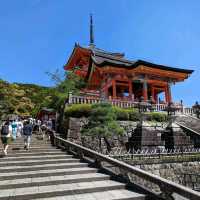 Autumn Night Illumination of the Kiyomizu-dera