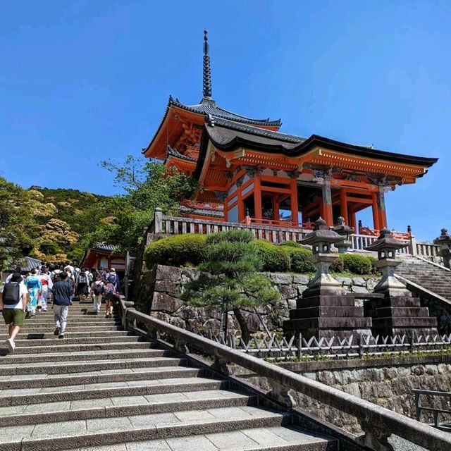 Autumn Night Illumination of the Kiyomizu-dera
