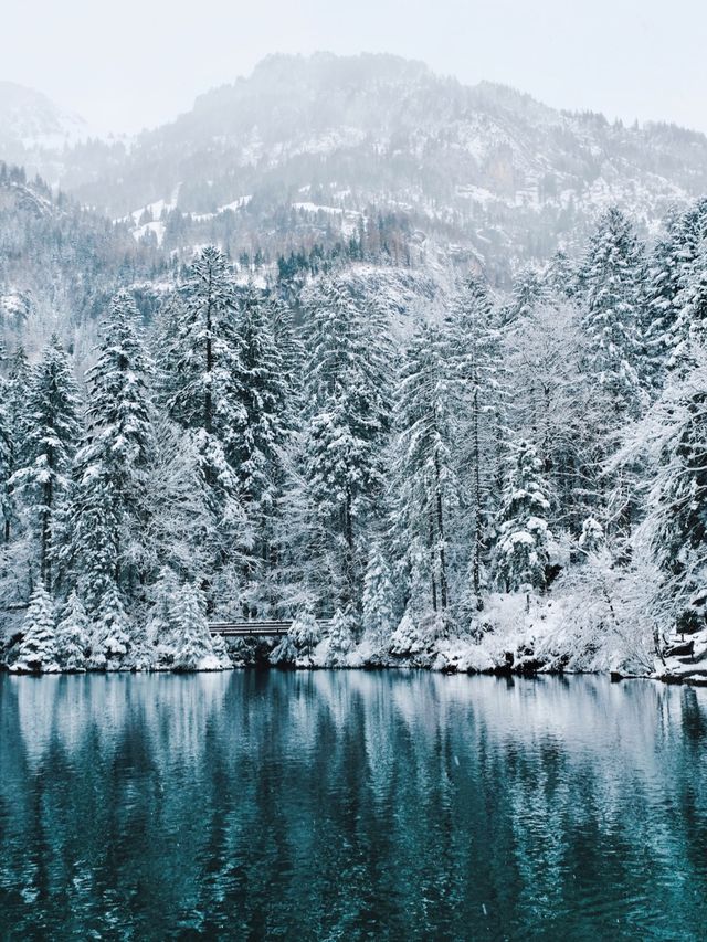 瑞士🇨🇭歐洲版九寨溝藍湖 Blausee