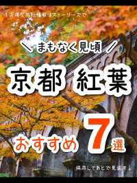 【京都】日本屈指の紅葉スポット！絶景7選