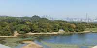 Hong Kong Wetland Park - Wetland and Marshes