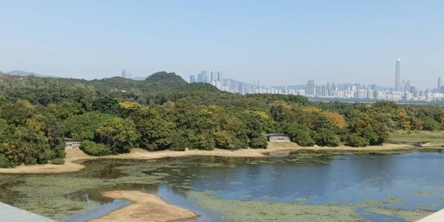 Hong Kong Wetland Park - Wetland and Marshes