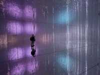 TeamLab SuperNature Digital Art @Macao